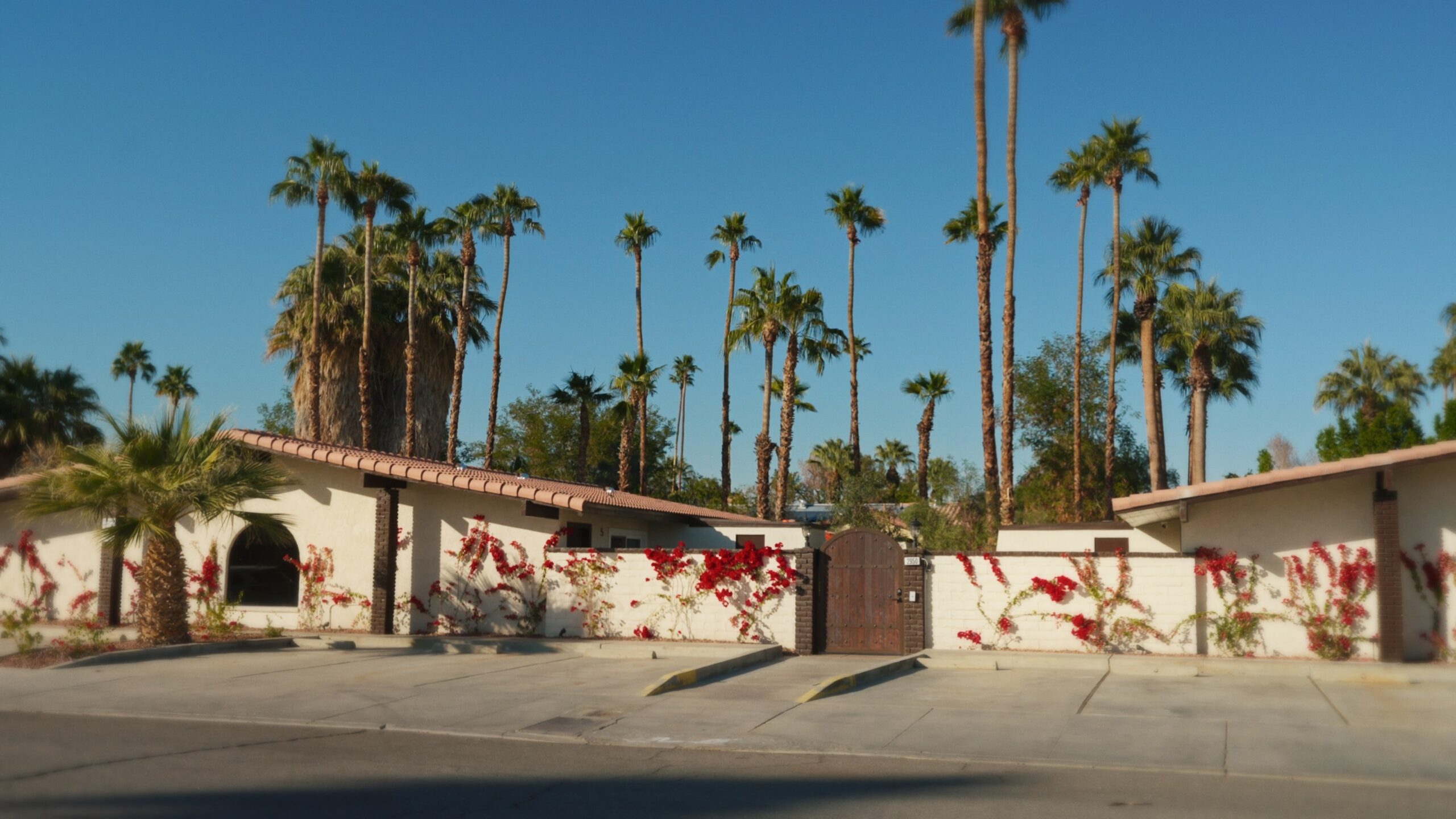 Single-story house with a white exterior and a red-tiled roof, surrounded by a white wall adorned with red flowering vines. A wooden arched gate is set in the wall. Tall palm trees rise behind the house against a clear blue sky. The foreground features a concrete driveway and parking area.