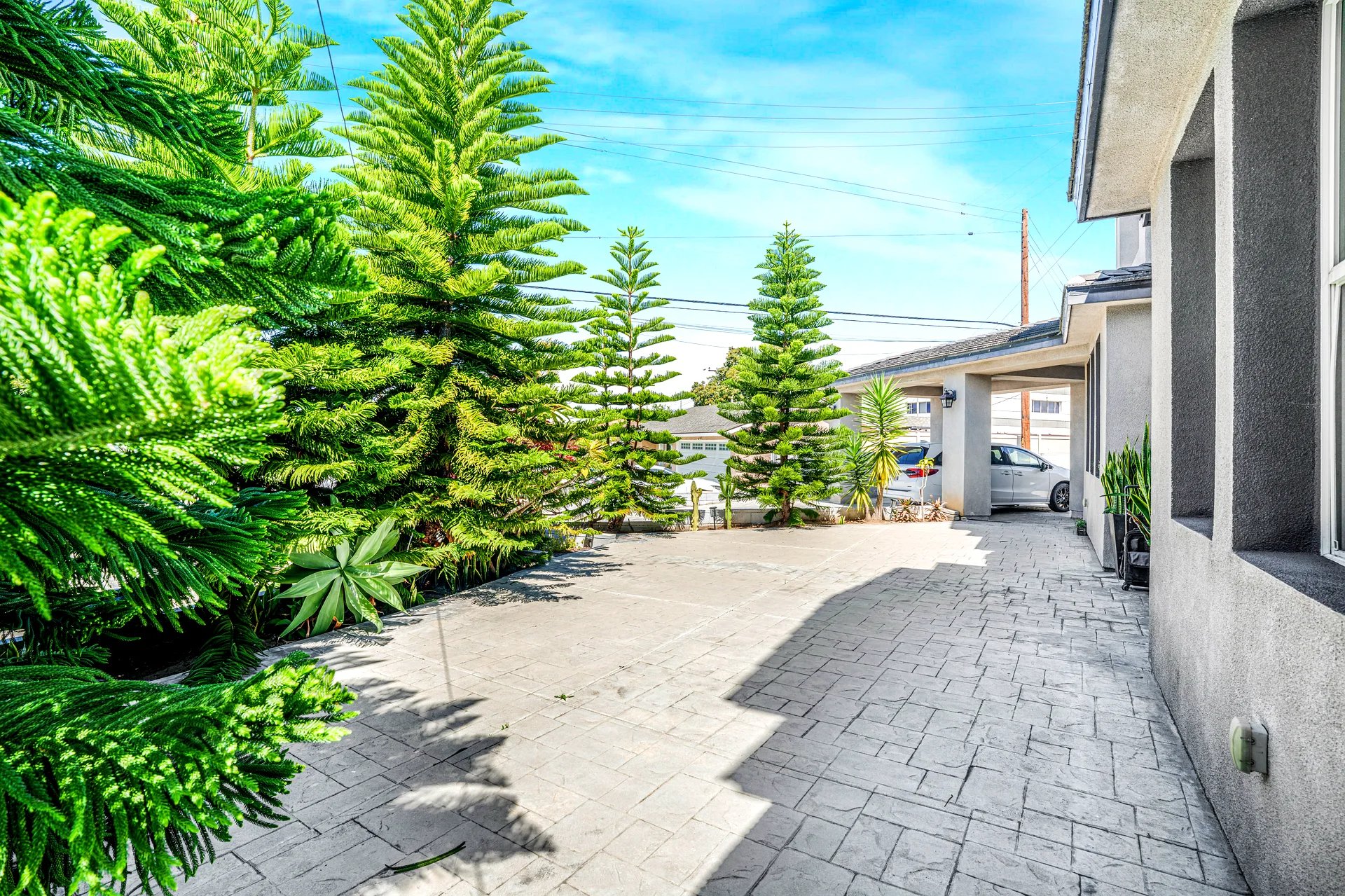 Concrete driveway with a textured pattern, lined with tall, lush green pine trees on the left side. On the right side, there is a gray stucco house with a covered carport where a silver minivan is parked. The sky is clear and blue, and there are power lines visible in the background.