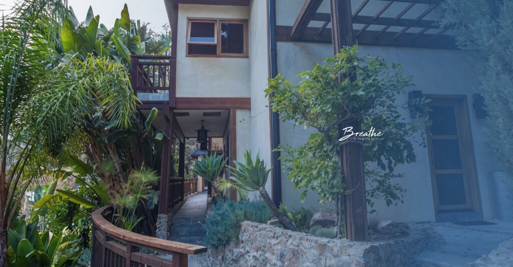 A modern building with a wooden balcony and railing, surrounded by lush green tropical plants and trees. The structure features light-colored walls with wooden window frames and beams. A stone wall borders a garden area with various succulents and shrubs. The scene has a serene, natural atmosphere.